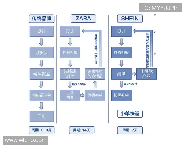 WE中路表现分析：突破与失误的深度解读与反思